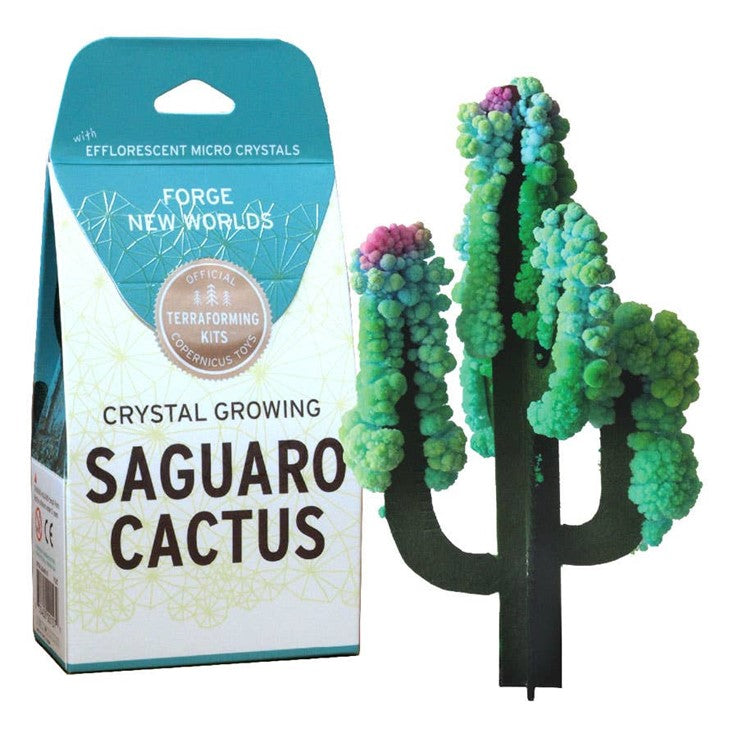 Crystal Growing Saguaro Cactus